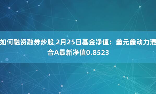 如何融资融券炒股 2月25日基金净值：鑫元鑫动力混合A最新净值0.8523