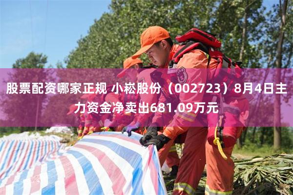 股票配资哪家正规 小崧股份（002723）8月4日主力资金净卖出681.09万元