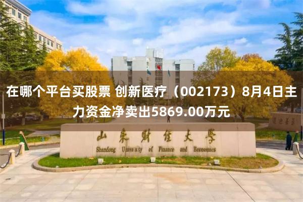 在哪个平台买股票 创新医疗（002173）8月4日主力资金净卖出5869.00万元